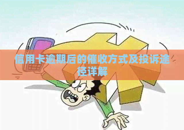 信用卡逾期后的方式及投诉途径详解