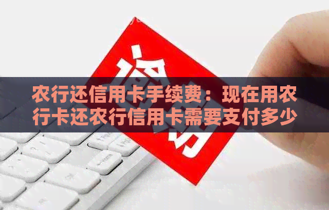 农行还信用卡手续费：现在用农行卡还农行信用卡需要支付多少手续费？