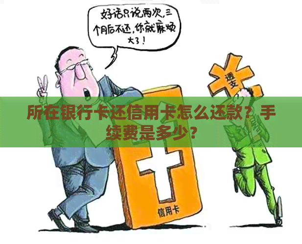 所在银行卡还信用卡怎么还款？手续费是多少？