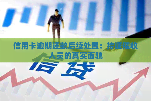 信用卡逾期还款后续处置：持证人员的真实面貌