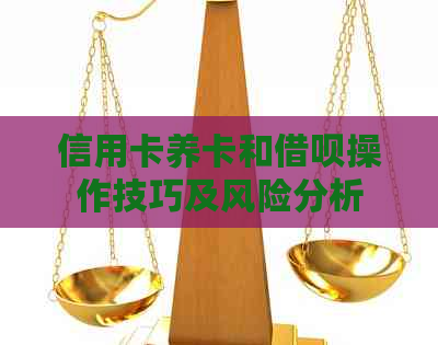 信用卡养卡和借呗操作技巧及风险分析