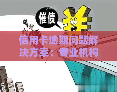 信用卡逾期问题解决方案：专业机构实现高效外包