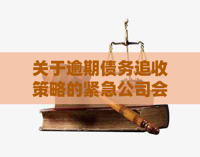 关于逾期债务追收策略的紧急公司会议要