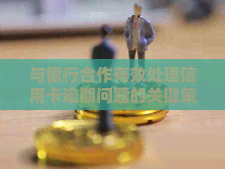 与银行合作有效处理信用卡逾期问题的关键策略