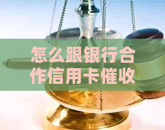 怎么跟银行合作信用卡：电话、短信及业务流程全解析