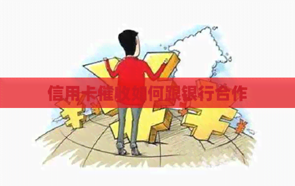 信用卡如何跟银行合作