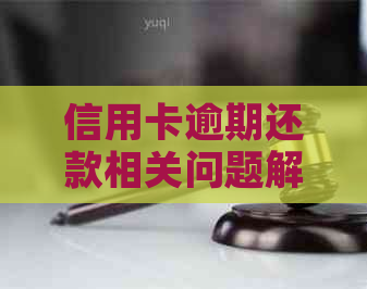 信用卡逾期还款相关问题解答：官方电话、第三方与实际银行操作对比