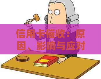 信用卡：原因、影响与应对策略，母在其中扮演了什么角色？
