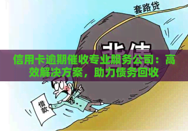 信用卡逾期专业服务公司：高效解决方案，助力债务回收