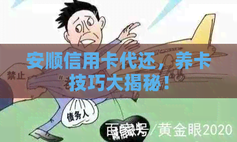 安顺信用卡代还，养卡技巧大揭秘！