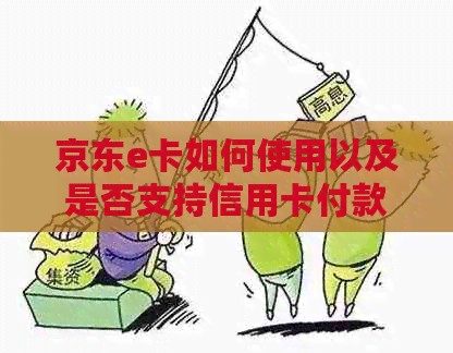 京东e卡如何使用以及是否支持信用卡付款？