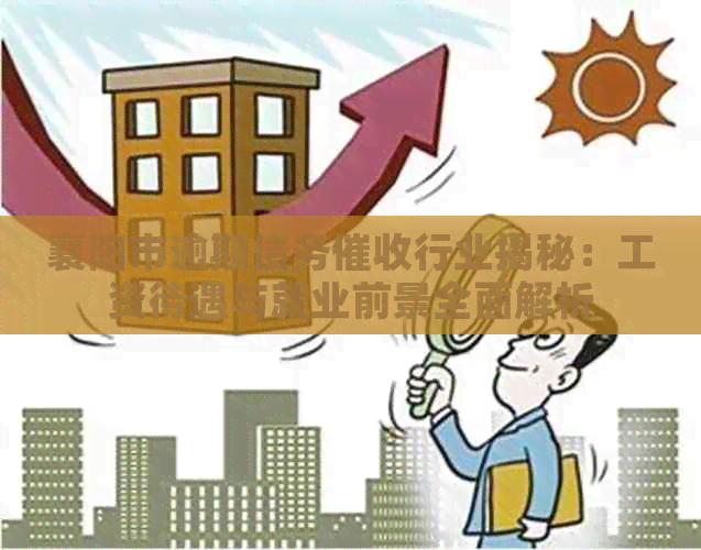 襄阳市逾期债务行业揭秘：工资待遇与就业前景全面解析