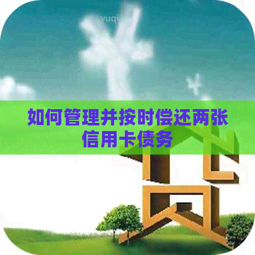 如何管理并按时偿还两张信用卡债务