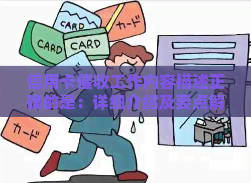 信用卡工作内容描述正确的是：详细介绍及要点解析