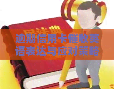 逾期信用卡英语表达与应对策略