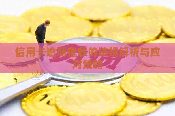 信用卡逾期的法规解析与应对策略