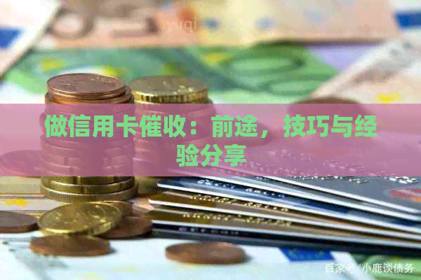 做信用卡：前途，技巧与经验分享