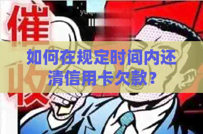 如何在规定时间内还清信用卡欠款？