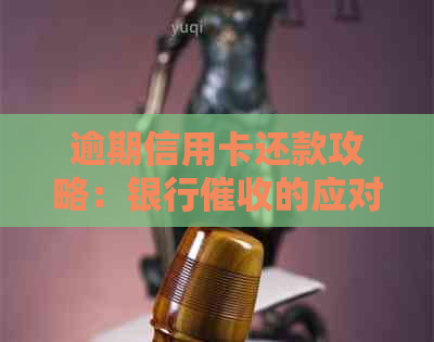 逾期信用卡还款攻略：银行的应对策略与实用技巧
