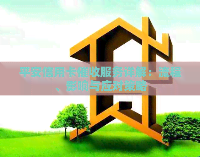 平安信用卡服务详解：流程、影响与应对策略