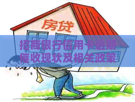 招商银行信用卡逾期现状及相关政策解读