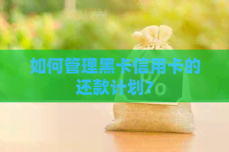 如何管理黑卡信用卡的还款计划？