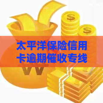 太平洋保险信用卡逾期专线电话，为您提供专业服务和解决方案