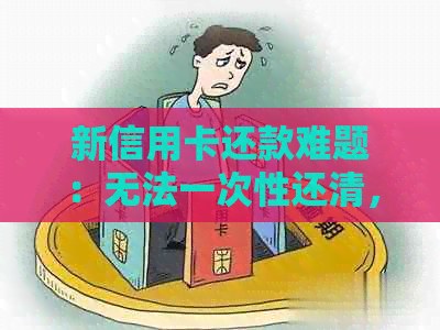 新信用卡还款难题：无法一次性还清，协商无果，该如何解决？