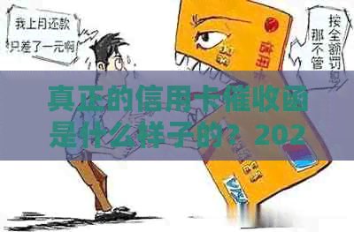 真正的信用卡函是什么样子的？2020年信用卡规定及操作