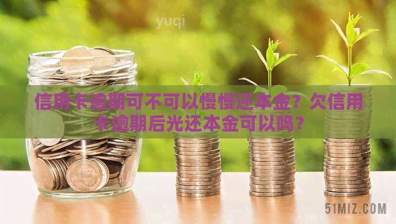 信用卡逾期可不可以慢慢还本金？欠信用卡逾期后光还本金可以吗？