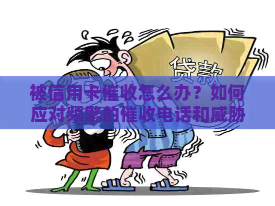 被信用卡怎么办？如何应对频繁的电话和？请提供有效建议！