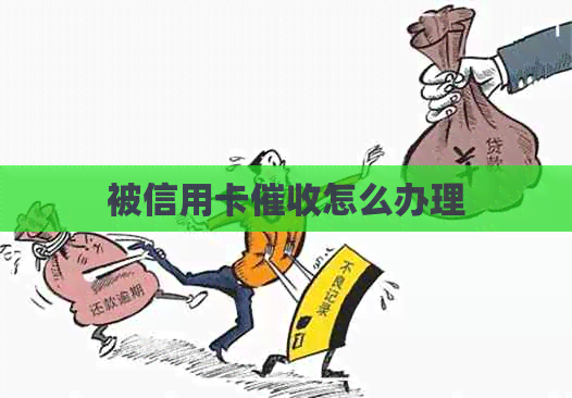被信用卡怎么办理