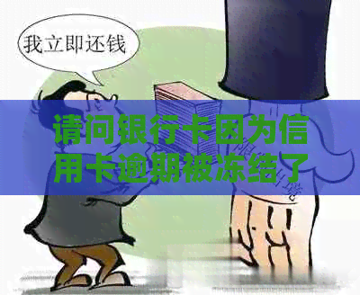 请问银行卡因为信用卡逾期被冻结了怎么办？