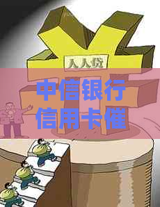 中信银行信用卡公司中标公告最新公示：最新消息与详情