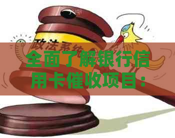 全面了解银行信用卡项目：工作流程、影响及解决方案