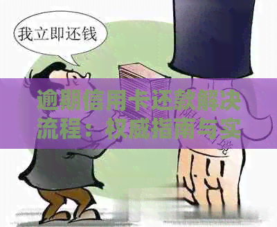 逾期信用卡还款解决流程：权威指南与实用建议