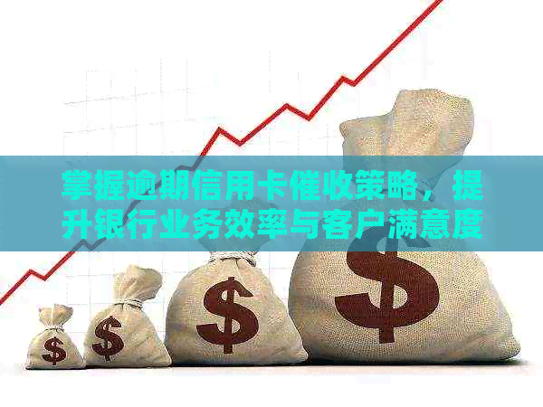掌握逾期信用卡策略，提升银行业务效率与客户满意度