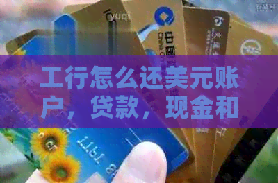 工行怎么还美元账户，贷款，现金和人民币？