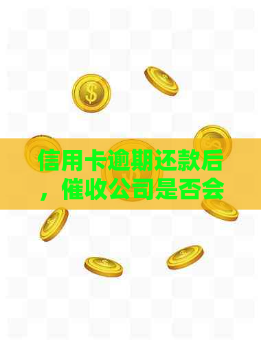 信用卡逾期还款后，公司是否会联系单位进行电话？