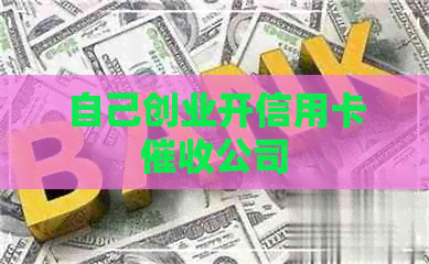 自己创业开信用卡公司
