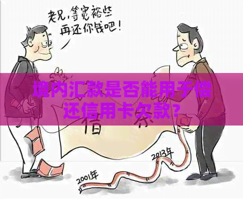 境内汇款是否能用于偿还信用卡欠款？