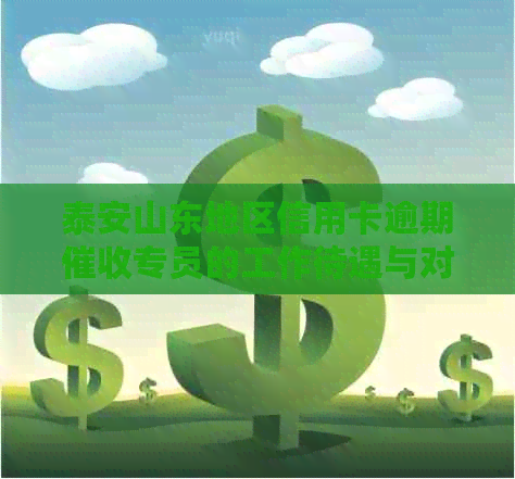泰安山东地区信用卡逾期专员的工作待遇与对比分析