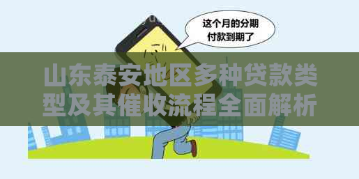 山东泰安地区多种贷款类型及其流程全面解析