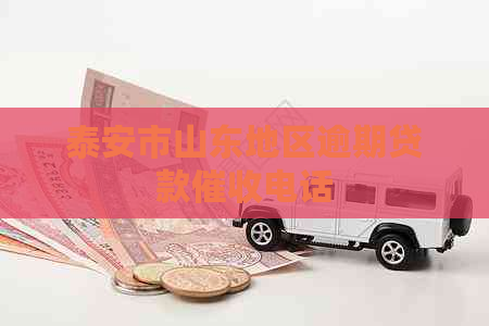 泰安市山东地区逾期贷款电话