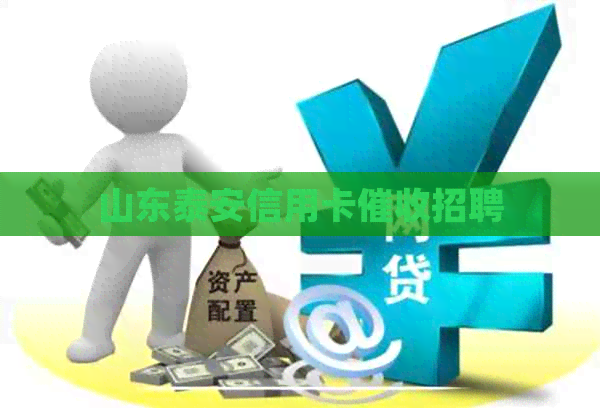 山东泰安信用卡招聘