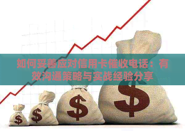 如何妥善应对信用卡电话：有效沟通策略与实战经验分享