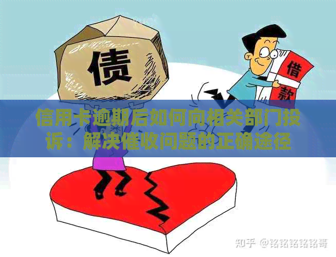 信用卡逾期后如何向相关部门投诉：解决问题的正确途径