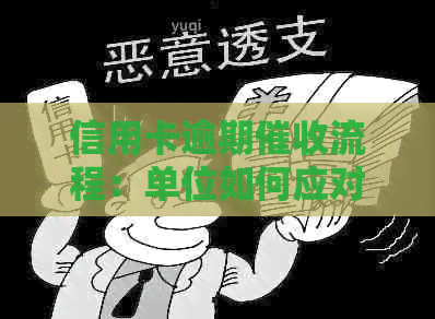 信用卡逾期流程：单位如何应对？谁来处理相关问题？全面解答用户疑问