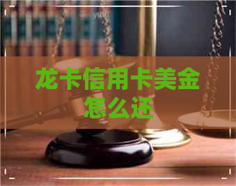 龙卡信用卡美金怎么还