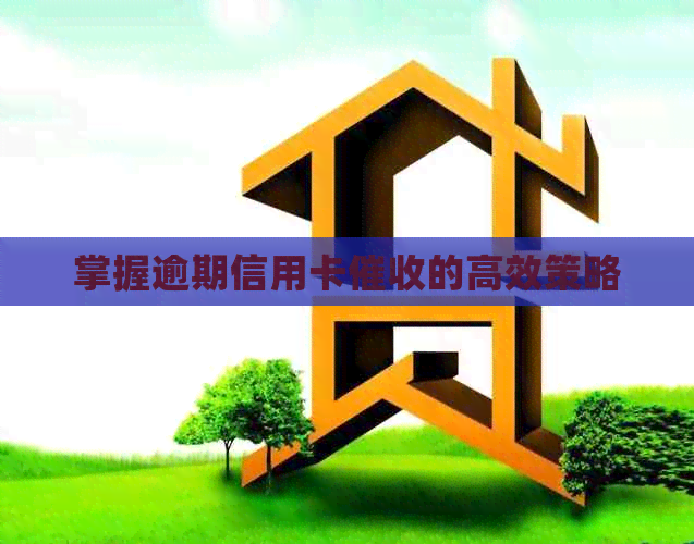 掌握逾期信用卡的高效策略